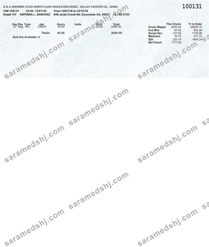 R & A Grower pay stub in PDF and Word formats